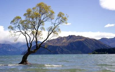 Ruta por las antípodas