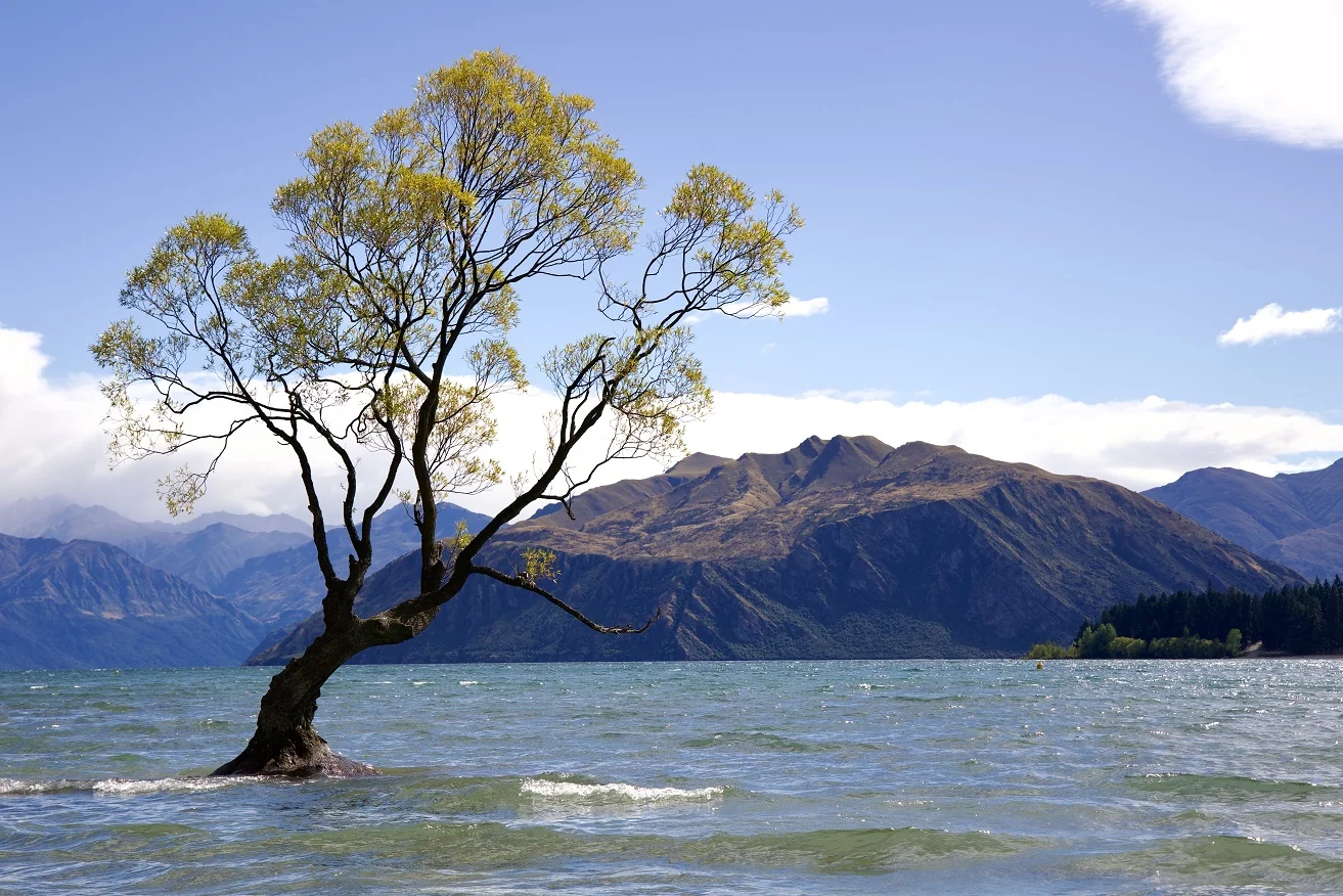 Imagen Nueva Zelanda - Ruta por las antípodas 5