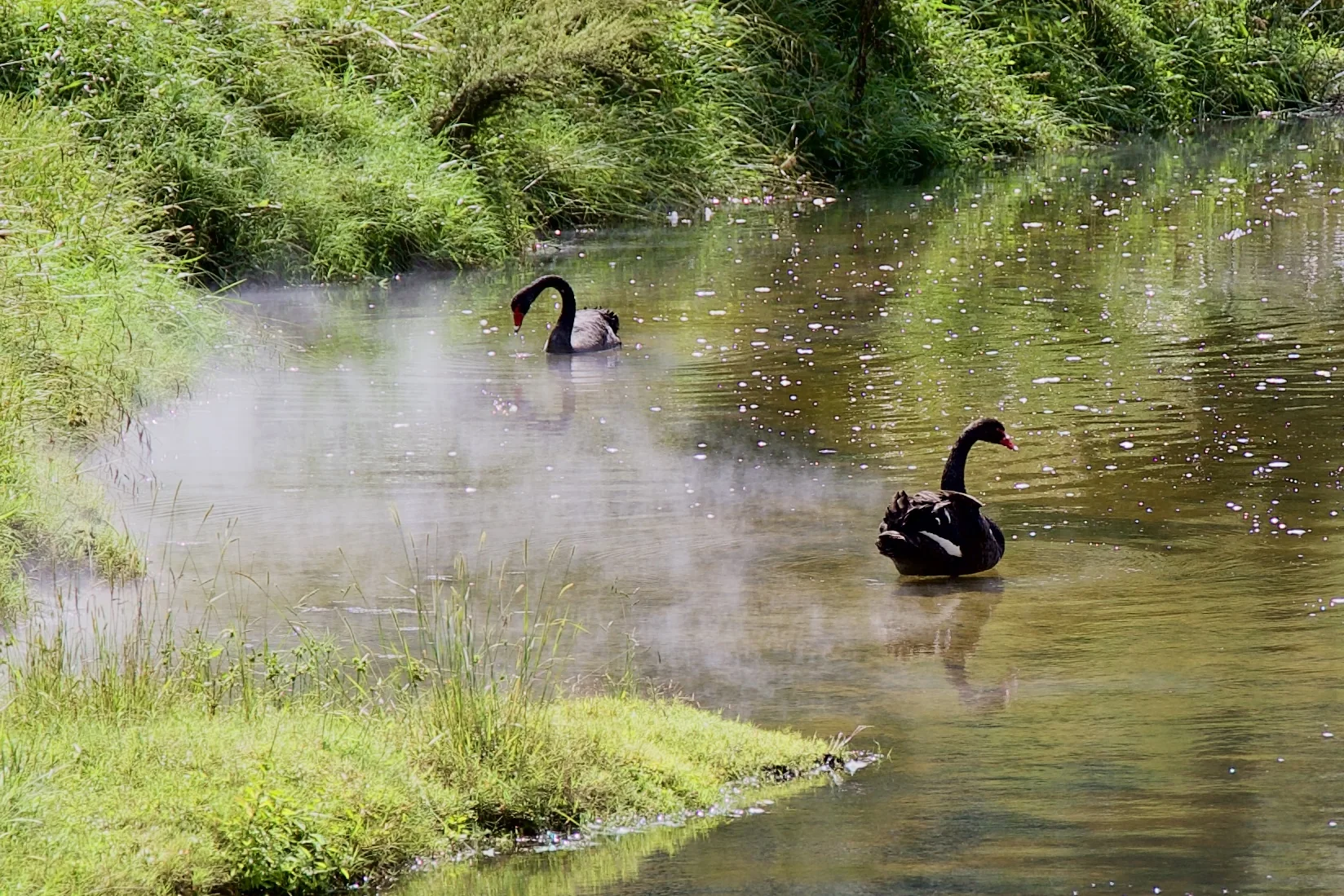 Imagen Nueva Zelanda - Ruta por las antípodas 7