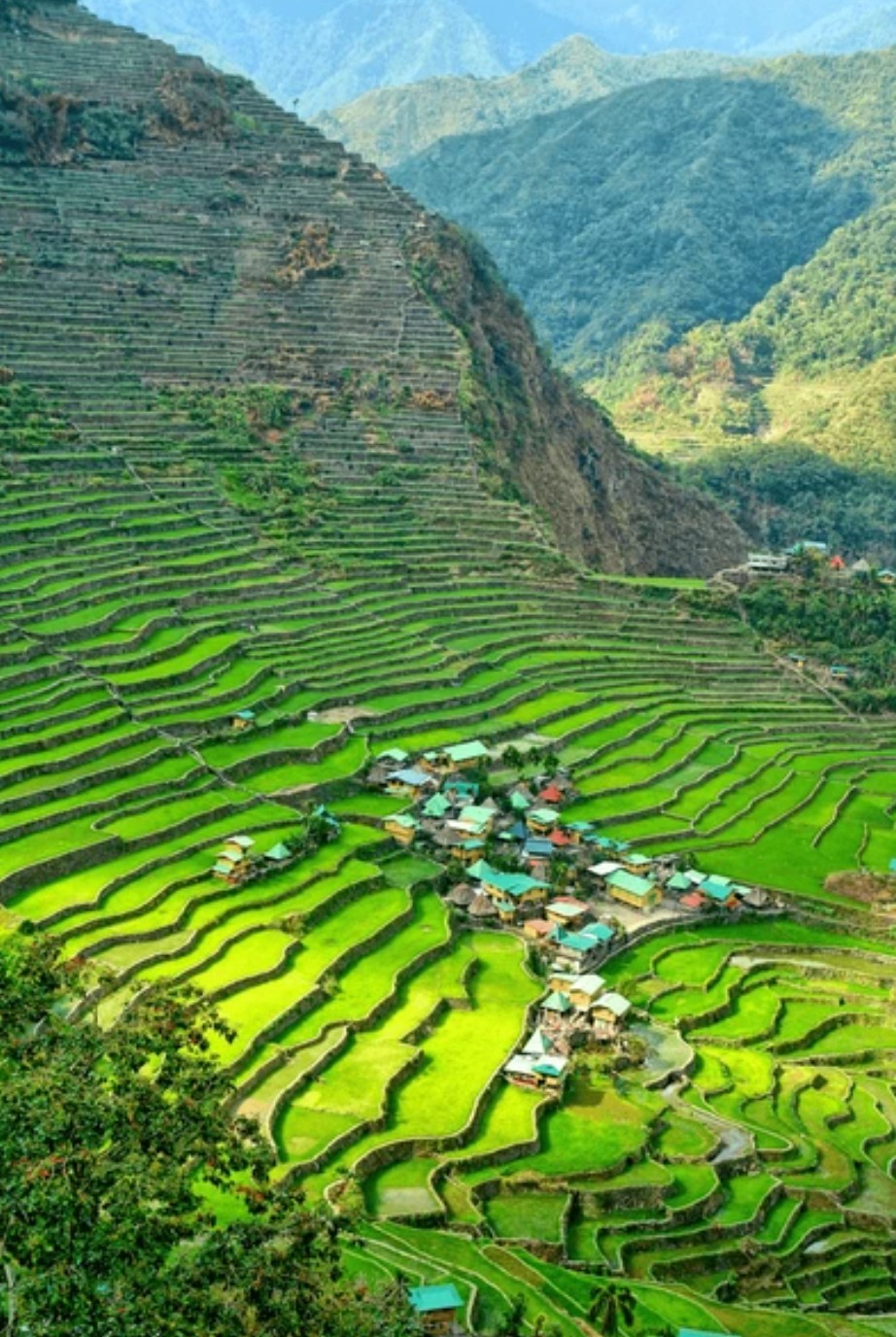 Terrazas arroz, Banaue Filipinas