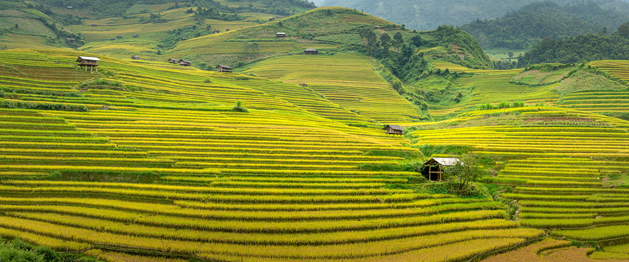 Sa pa, Vietnam
