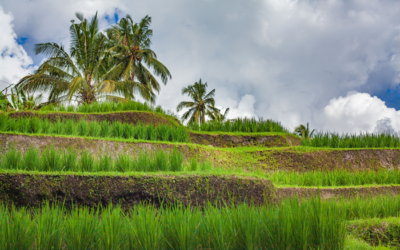 Bali Insólita
