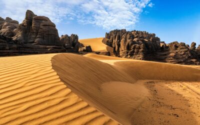 Imperio y desierto