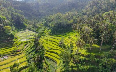 Bali mágica