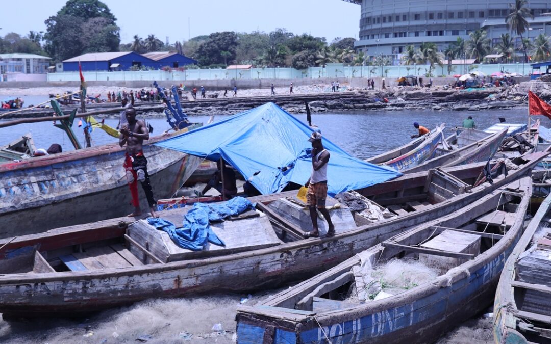 Puerto de Conakry con numerosas embarcaciones de pesca.