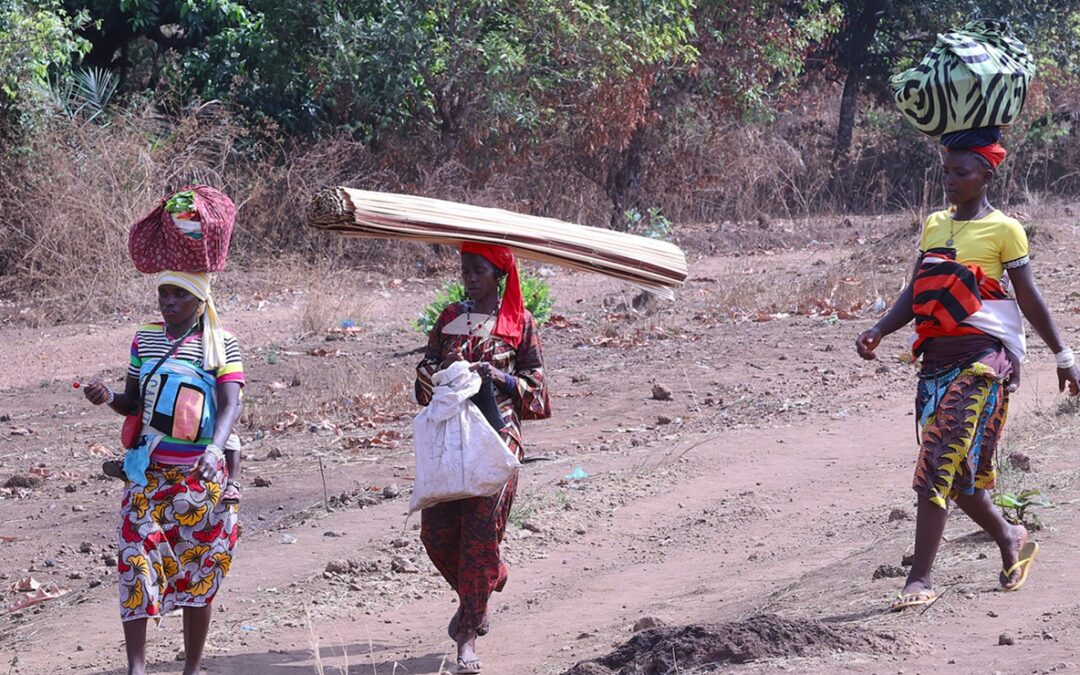 Mujeres transportando leña, escena cotidiana de Guinea Conakry.