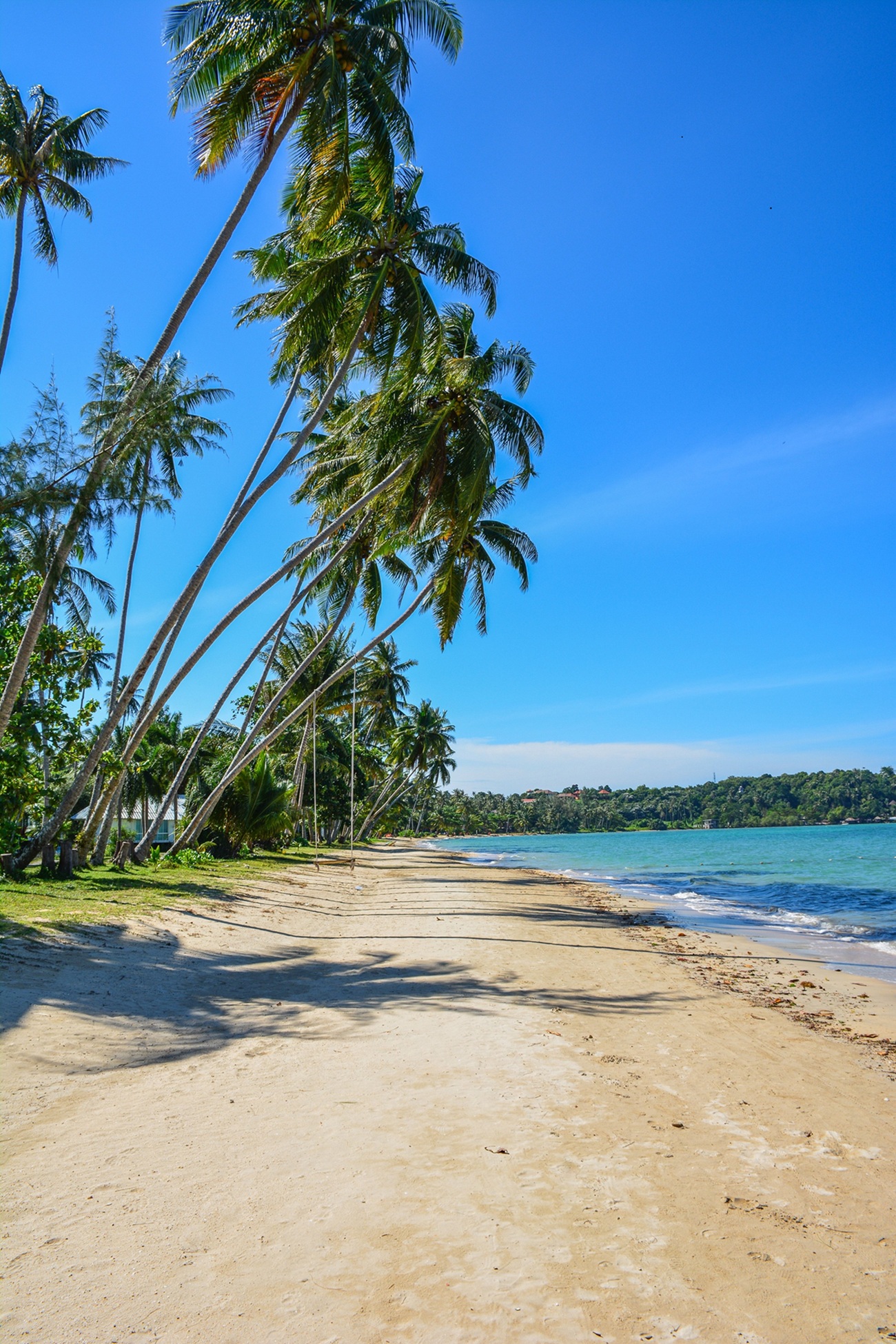 Idílica playa con palmeras en Tailandia